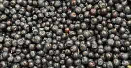 Fresh forest berry. Pure and hand-picked. We currently have