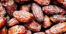 zea maize properly ground