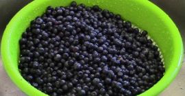 Ще продам чисти боровинки в околностите на Ostrołęka, възможност