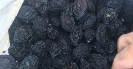 We need 300 tons of dried prunes (plums) big