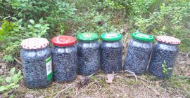 I&#39;ll take the berry order. I collect into 0.95