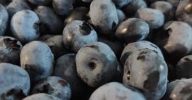 Ecologic, mare, udat, gustos, dulce și proaspăt