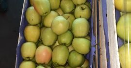 Hello. Golden Delicious apple for sale. Packed in wooden