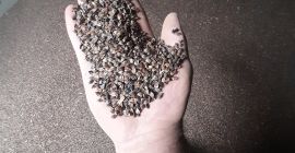 2021-es betakarítás bio hajdinát, igazolt telepemről nagy zacskóba csomagolt