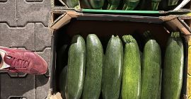 I will sell courgettes in any packaging, transport possible