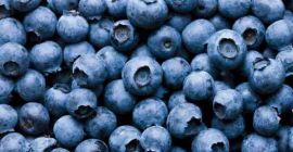 I will sell slovakia berries. Phone number +421911669130