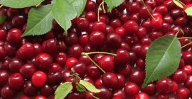 I will sell picked cherries to order, possible transport