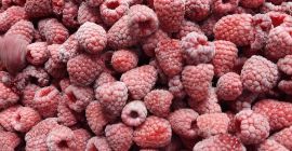 Iqf raspberry variety: Willamette, Quality: 95/5, Packing:4×2.5 kg Quantity:100