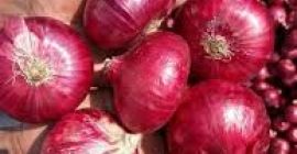 Made In Vietnam Hot Agriculture Product Fresh/ Dried Shallot