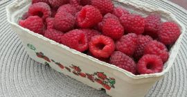 Ich verkaufe selbst angebaute Himbeeren, lecker, süß, perfekt für