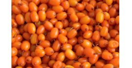 I am selling sea buckthorn grain by grain in