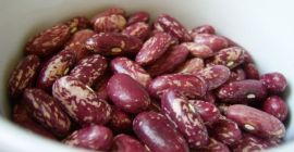 Red / colored beans packed in 25 kg bags