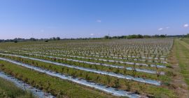 Compania agricolă ucraineană „Eco Park” a fost înființată în