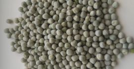 Groch zielony / Green Peas Possono essere ripuliti per