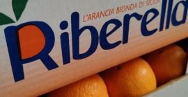 g U. Arancia di Ribera se referă exclusiv la