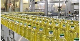Sunflower Oil wholesales, Sunflower Oil