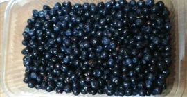 I am selling wild blueberries, freshly picked from the