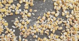 Marfa se aduce in big bags de 900-1000 kg