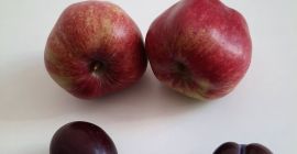 Vind fructe frumoase culese direct din livada, am orice