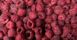Variety: Mix/Polka 90/10 - 4.3 Euro 80/20 - 4.20