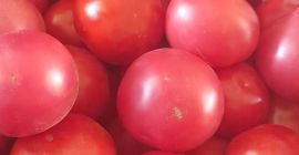 I will sell ground tomatoes, price 4 PLN per