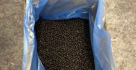 IQF frozen wild blueberry is available! Please contact us