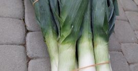 I have a large amount of leeks from my