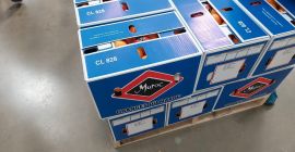 Stoarce suc de portocale! Oferim portocale marocane „Valencia târziu”