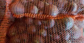 Продајем црвену округлу цвеклу. Цвекла се пакује у вреће