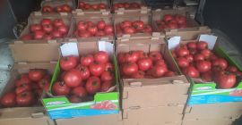 Продавам малинови домати.Много вкусни,сладки,подходящи за консерви. Каня ви да