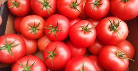 Продавам малинови домати размер 2б и 3б брой камиони