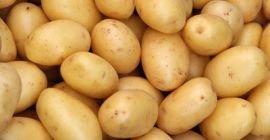 Hallo, wir haben Qualitäts- und Mengenkartoffeln zum Verkauf. Wenn