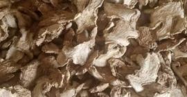 Split dey gyömbér, gyömbérpor, friss gyömbér eladó.