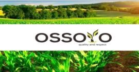 Das Getreidehandelsunternehmen „Ossoyo“ vertreibt Weizen, Sonnenblumen, Gerste, Raps und