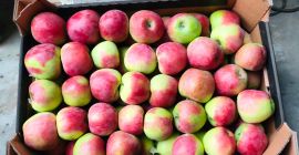 Ich werde ein Delikatessen verkaufen. Details zu vereinbaren.