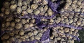 Продам картоплю продовольчу товарну оптом. В наявності різні сорти: