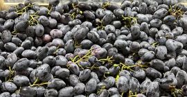 Any amount of grapes Greek Moladian Italian Dark and