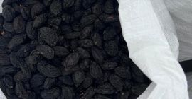 I sell prunes with and without seeds