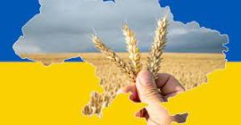 Avem în acest moment 100.000 de tone de grâu