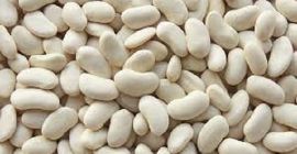 The processor buys beans of white varieties in bulk.