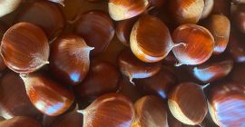 Мы являемся одним из крупнейших производителей съедобных сладких каштанов