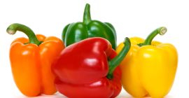 SELL INDUSTRIAL VEGETABLES FRESH PEPPER RED, PRICE - AGRICULTURAL ADVERTISEMENTS, Agro-Market24