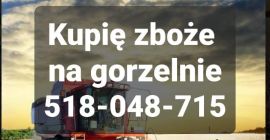 Achizitionarea boabelor de orice calitate, contaminate, umede, defecte, infestate