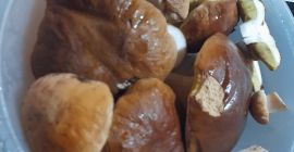 Свеже вргање... свеже на захтев... иначе смрзнуте... врхунски квалитет