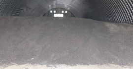 Floarea soarelui Disponibil imediat, depozitat în Slovacia. Harvest 2021