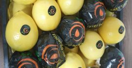 Свеж Лемон Маиер доступан за извоз