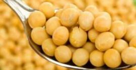 The Polish company will buy for export a large
