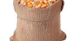Кукуруза широко классифицируется как цельнозерновая пища, такая как пшеница,