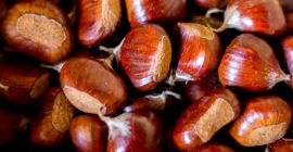 Castane MARRONI DOP, de la Caprese Michelangelo.