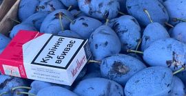 Aveți în frigider prune de înaltă calitate: Stanley -